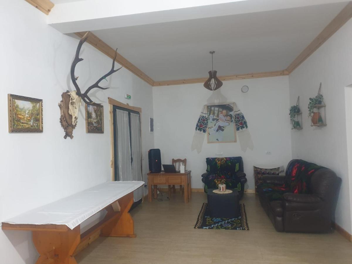 Casa Tomoiaga Hotel Vişeu de Sus Екстериор снимка